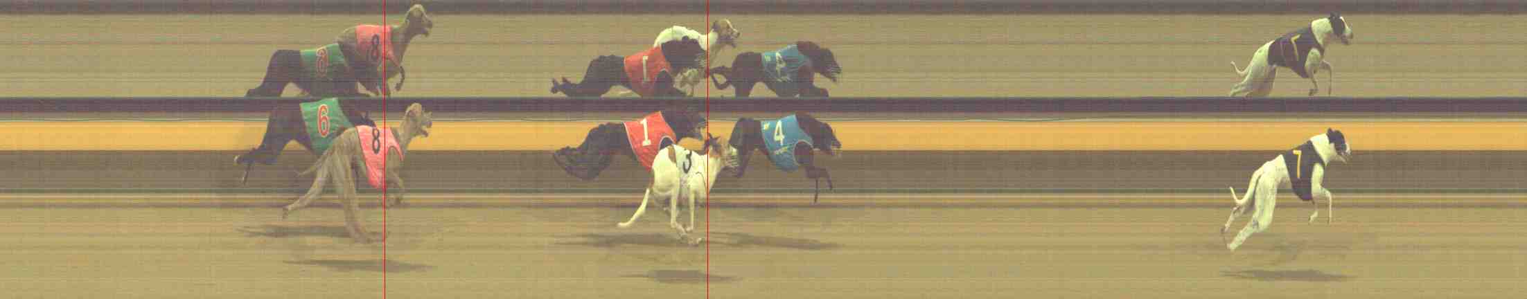 Photo finish for Horsham Race 11