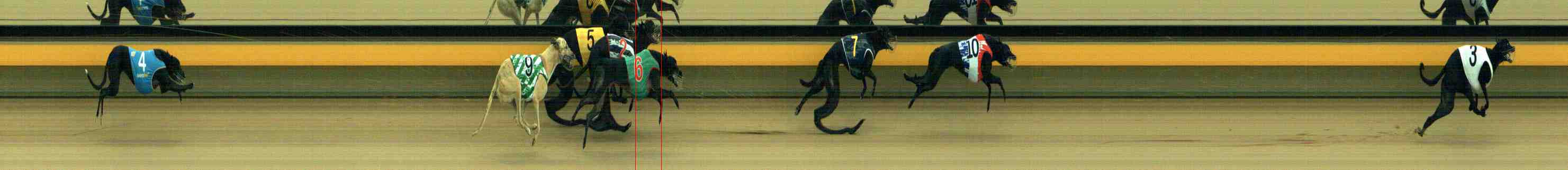 Photo finish for Horsham Race 1