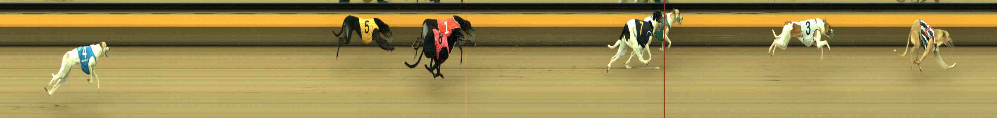 Photo finish for Horsham Race 2