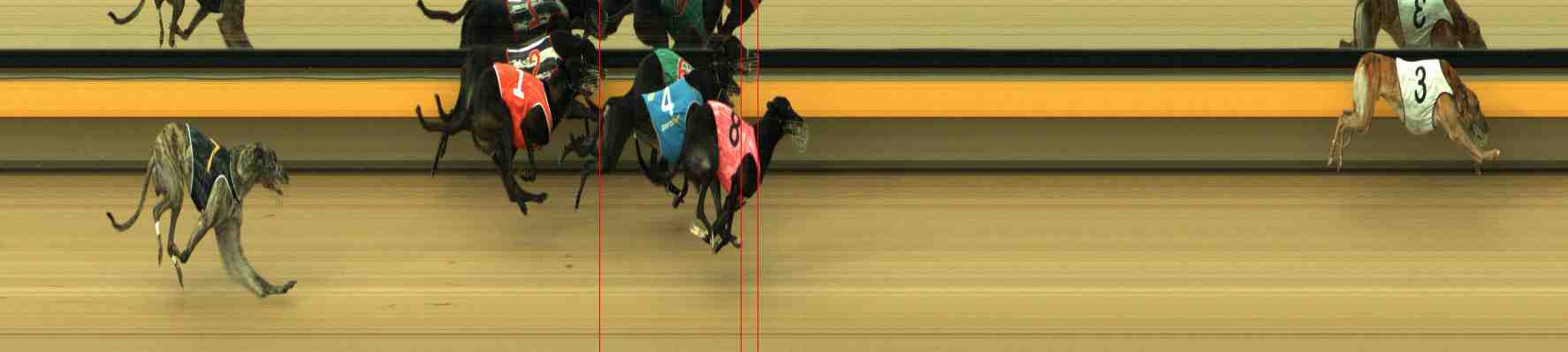 Photo finish for Horsham Race 3