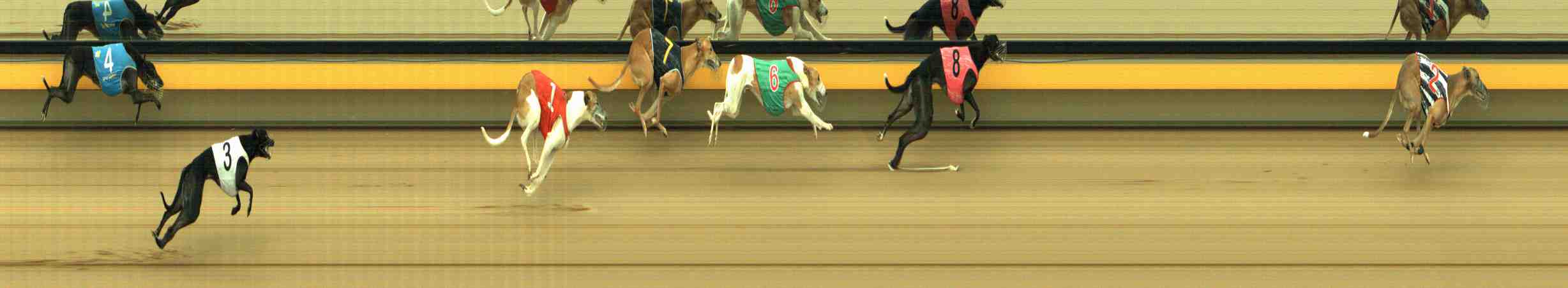 Photo finish for Horsham Race 4