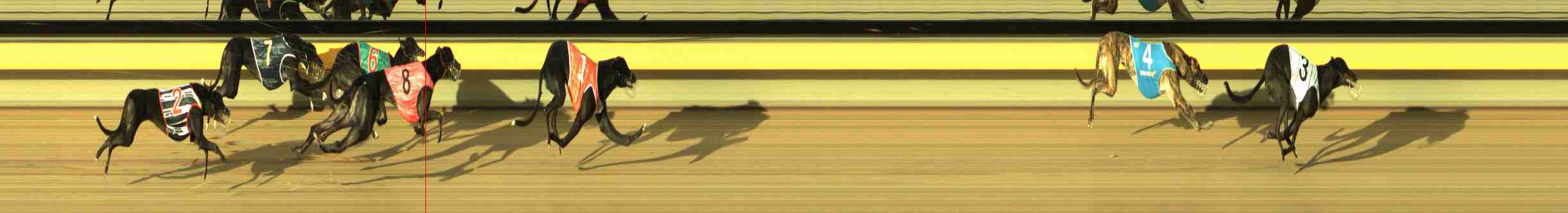 Photo finish for Horsham Race 5