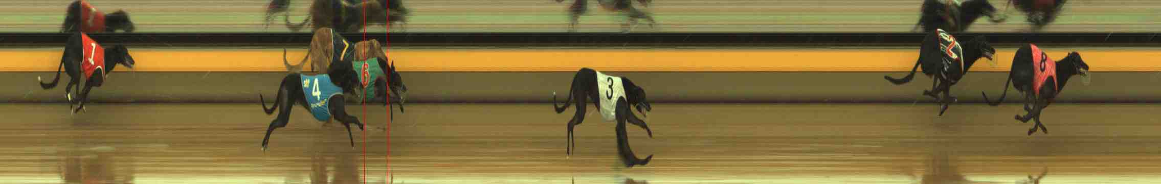 Photo finish for Horsham Race 7