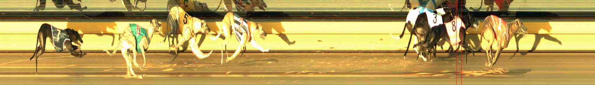 Photo finish for Horsham Race 8