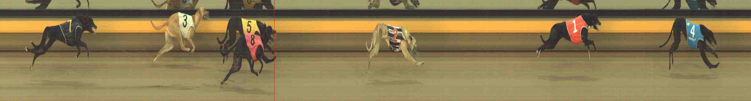 Photo finish for Horsham Race 9