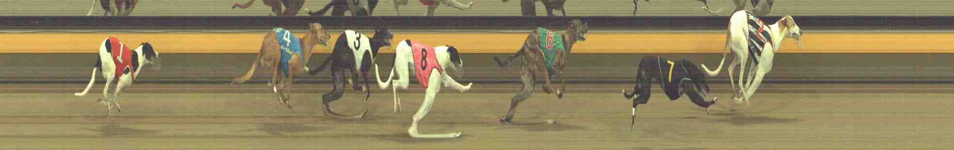 Photo finish for Horsham Race 10