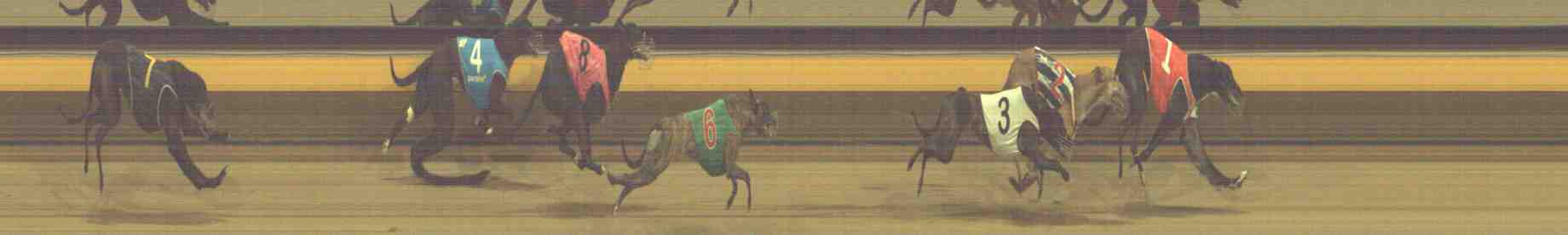 Photo finish for Horsham Race 11