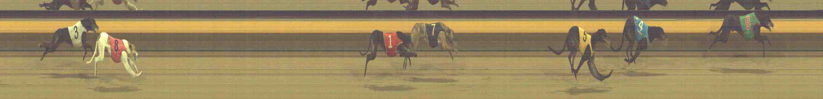 Photo finish for Horsham Race 12