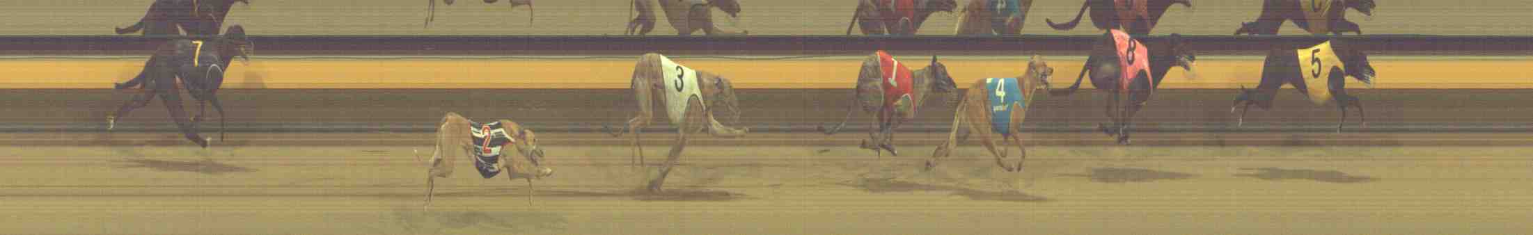 Photo finish for Horsham Race 13