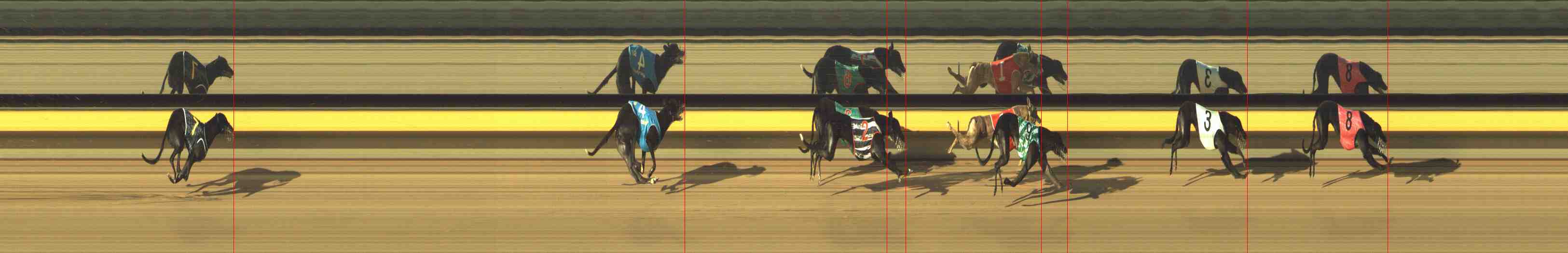 Photo finish for Horsham Race 2