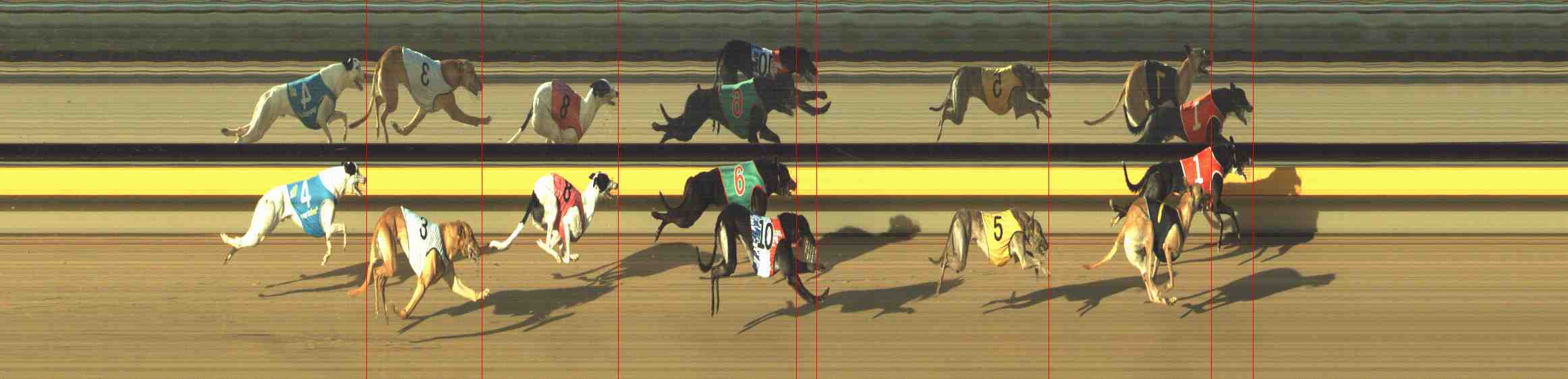 Photo finish for Horsham Race 3