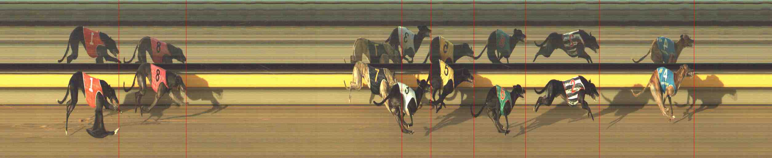 Photo finish for Horsham Race 5