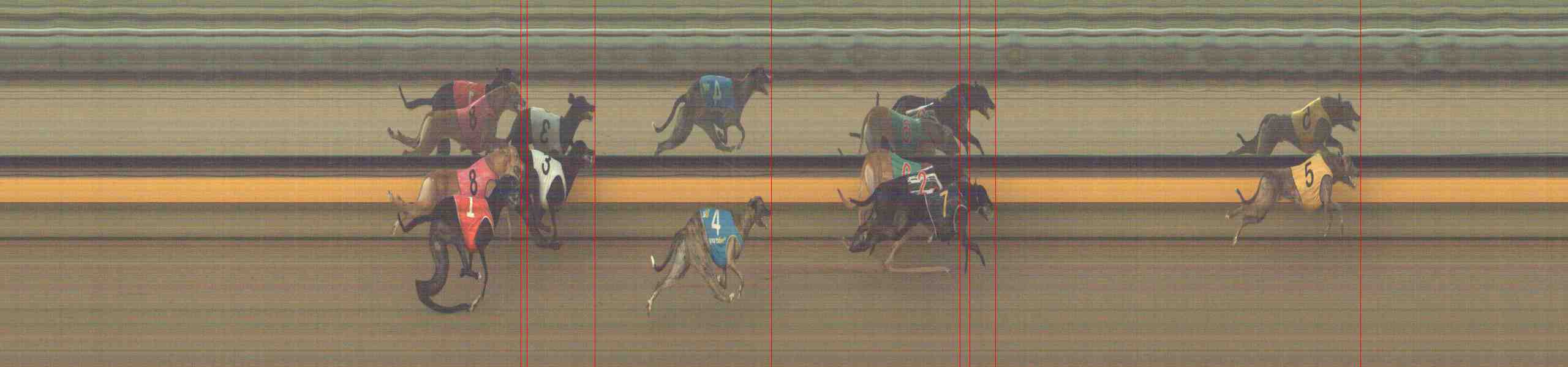 Photo finish for Horsham Race 6