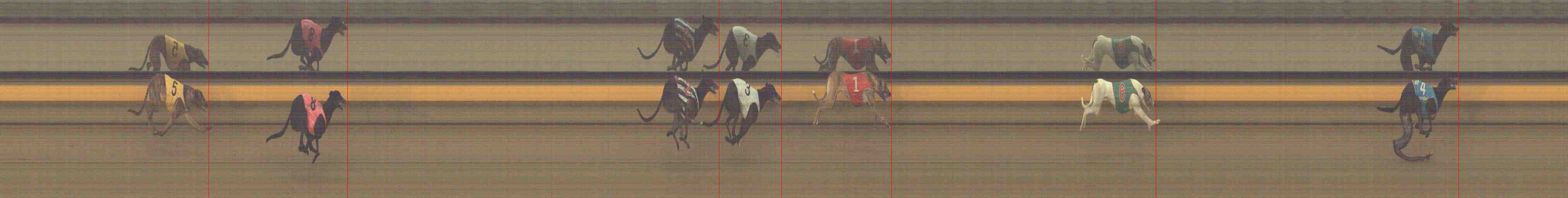 Photo finish for Horsham Race 7