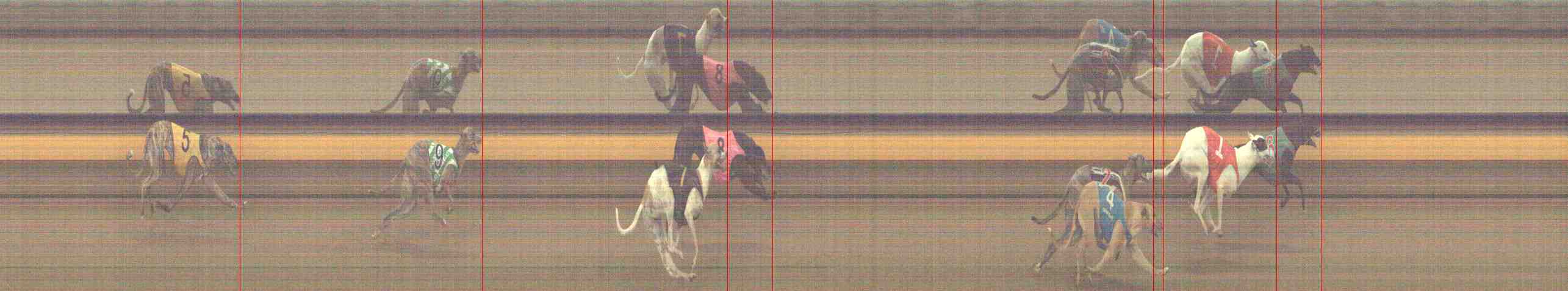Photo finish for Horsham Race 8