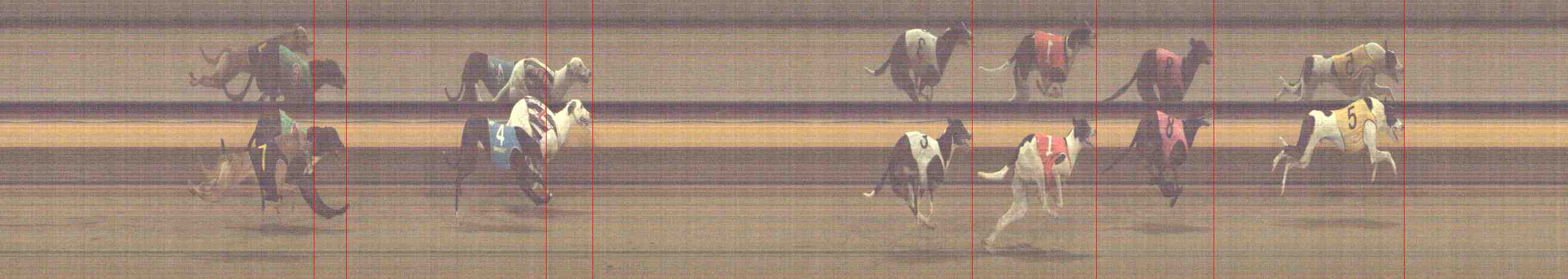 Photo finish for Horsham Race 9