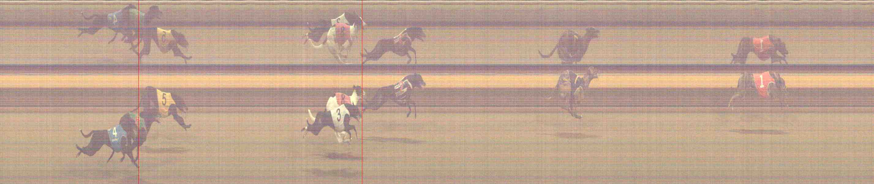 Photo finish for Horsham Race 10