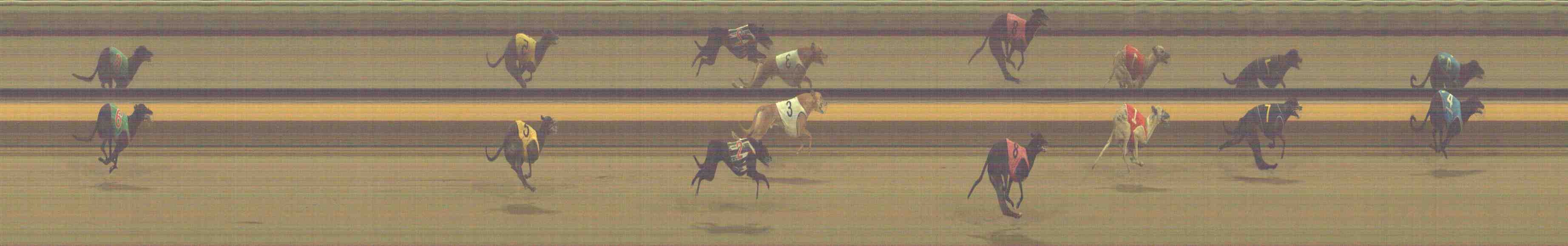 Photo finish for Horsham Race 11
