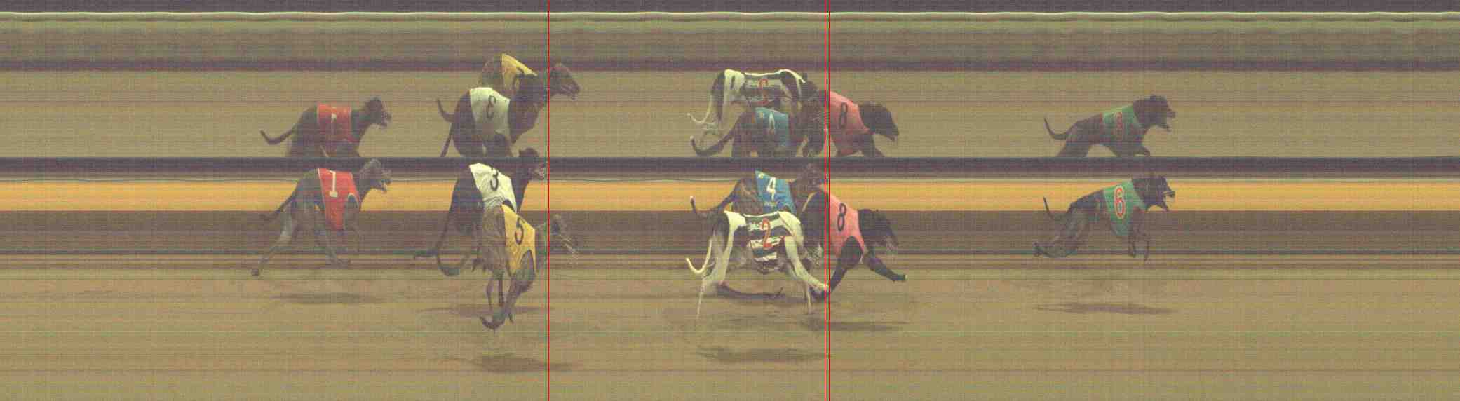 Photo finish for Horsham Race 12