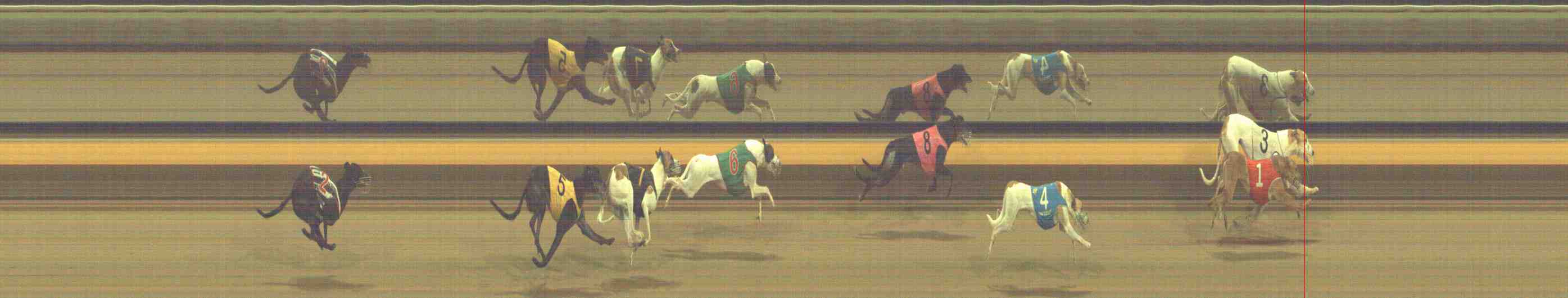 Photo finish for Horsham Race 13