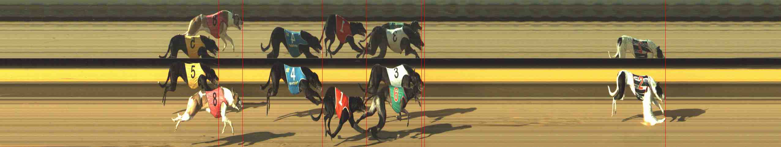 Photo finish for Horsham Race 1