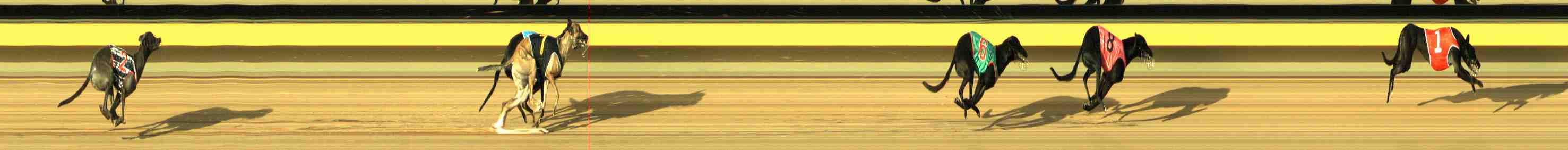 Photo finish for Horsham Race 1