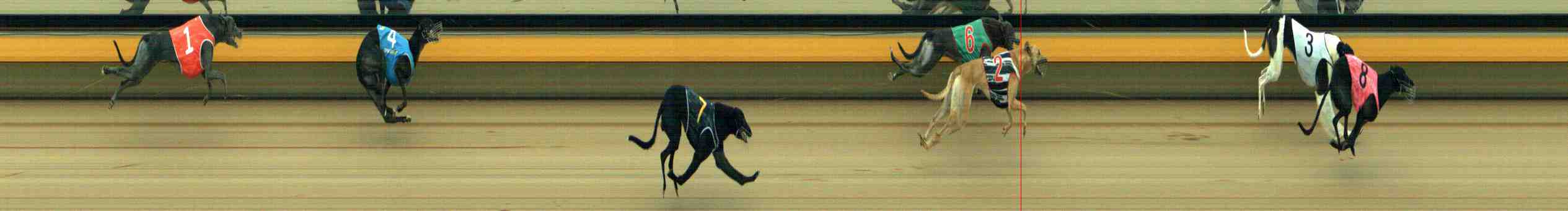 Photo finish for Horsham Race 2