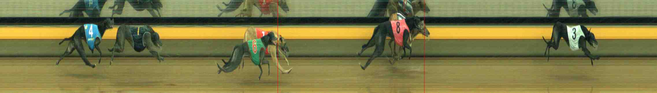 Photo finish for Horsham Race 3