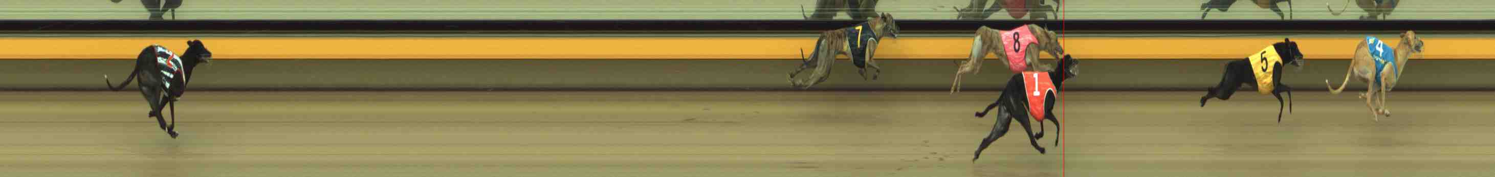 Photo finish for Horsham Race 4