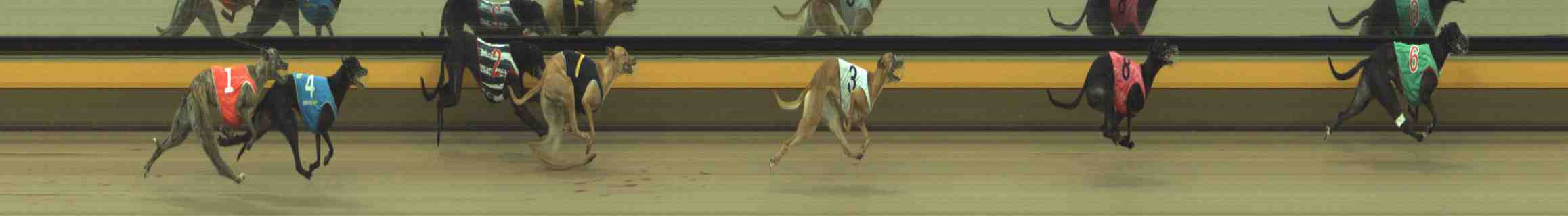 Photo finish for Horsham Race 5