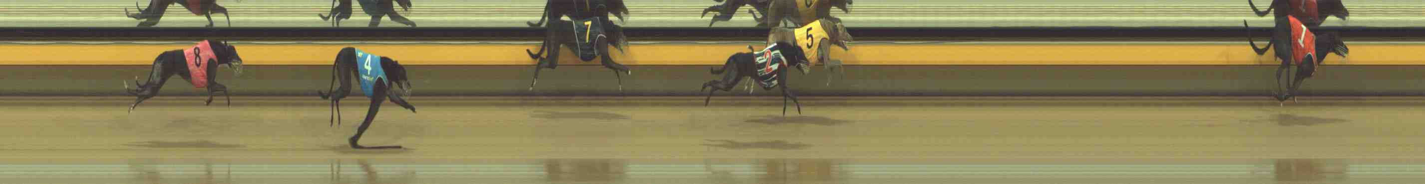 Photo finish for Horsham Race 6