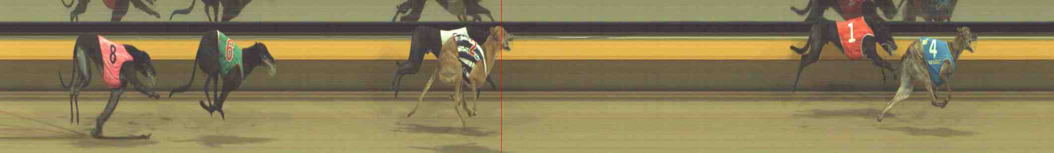 Photo finish for Horsham Race 7