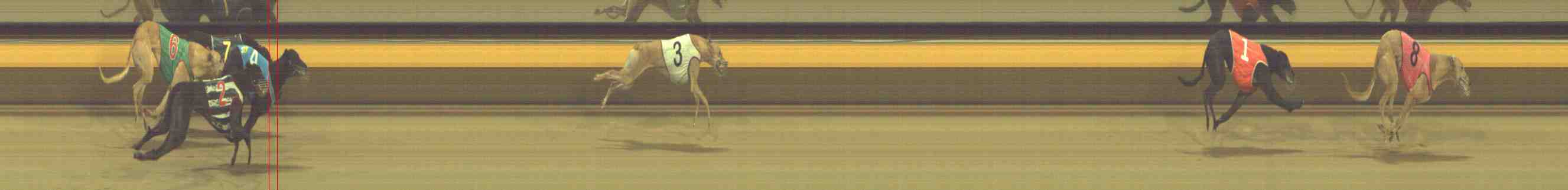 Photo finish for Horsham Race 8
