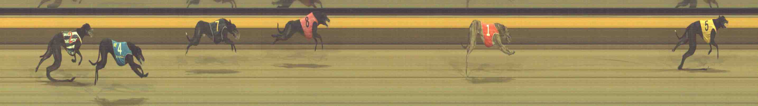 Photo finish for Horsham Race 9