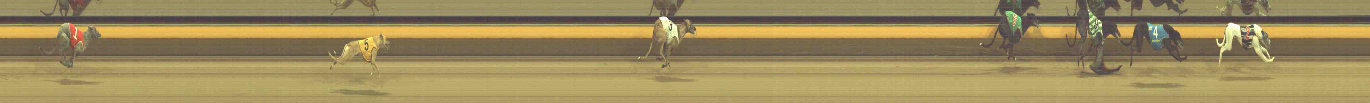 Photo finish for Horsham Race 10