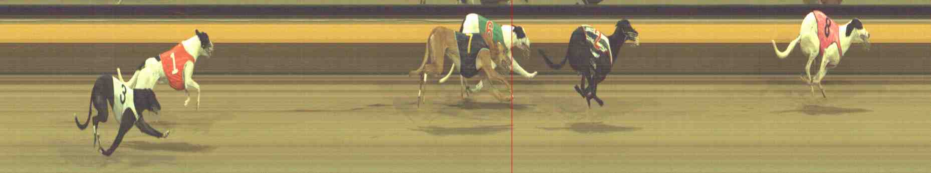 Photo finish for Horsham Race 11