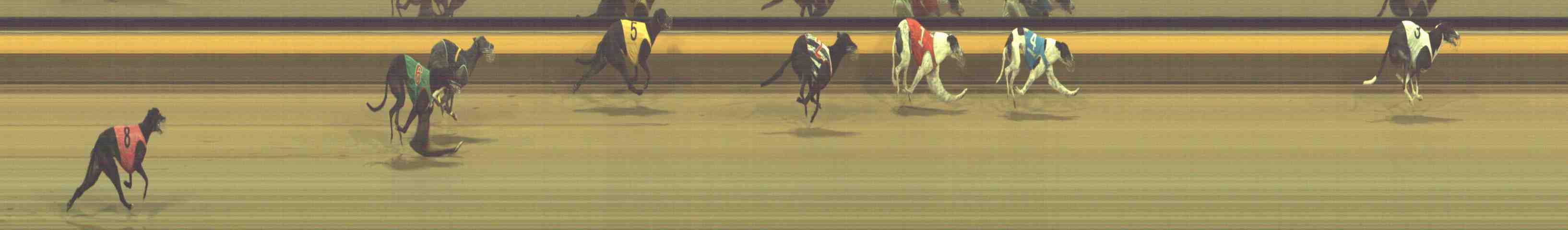 Photo finish for Horsham Race 12