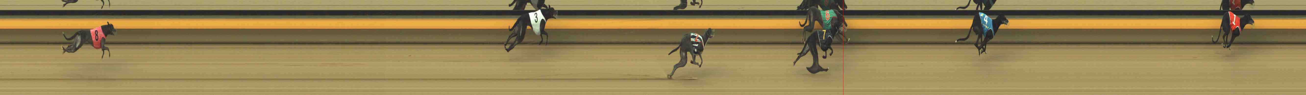 Photo finish for Horsham Race 1