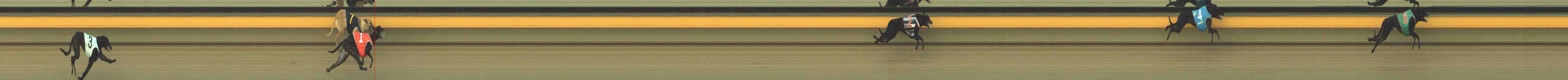Photo finish for Horsham Race 2