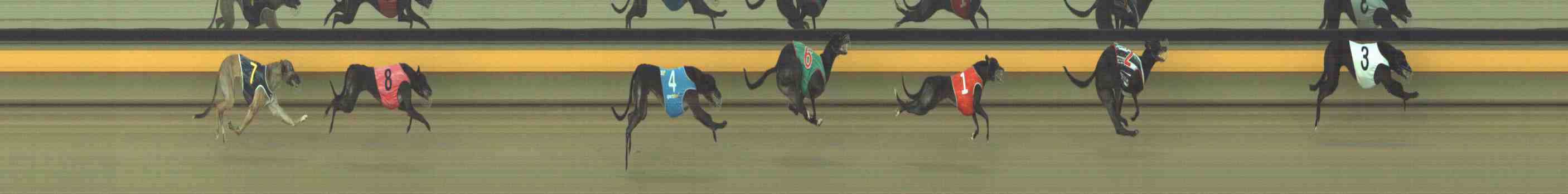 Photo finish for Horsham Race 3