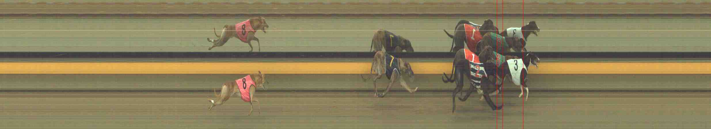 Photo finish for Horsham Race 4