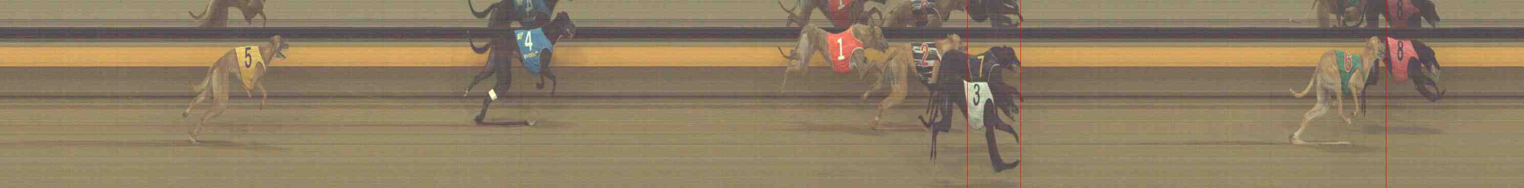 Photo finish for Horsham Race 5