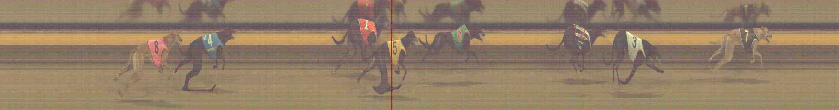 Photo finish for Horsham Race 6