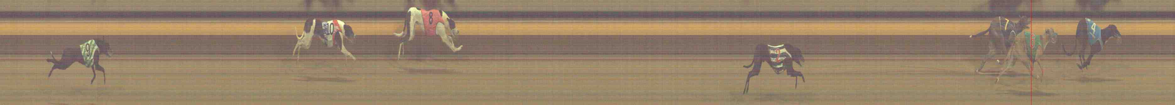 Photo finish for Horsham Race 7