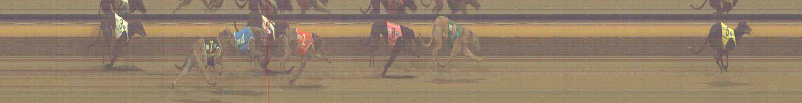 Photo finish for Horsham Race 8