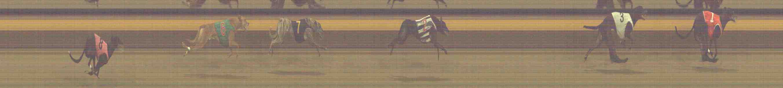 Photo finish for Horsham Race 9