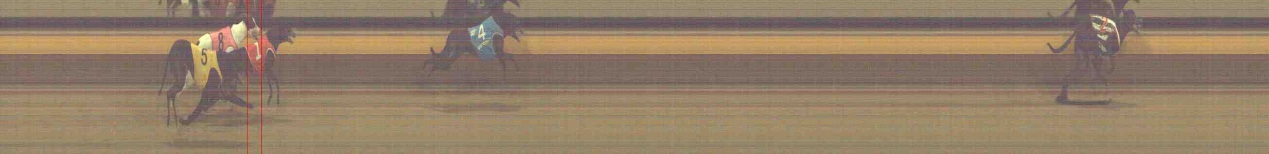 Photo finish for Horsham Race 10