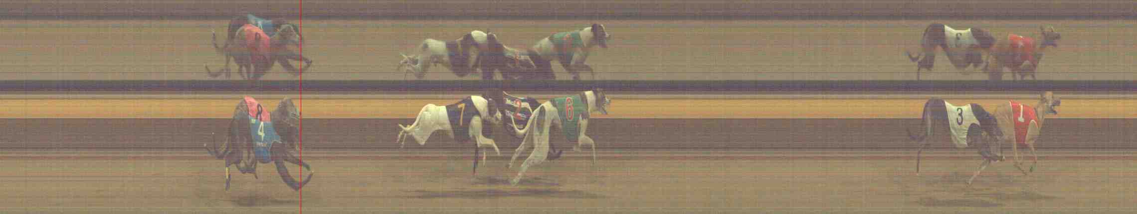 Photo finish for Horsham Race 11