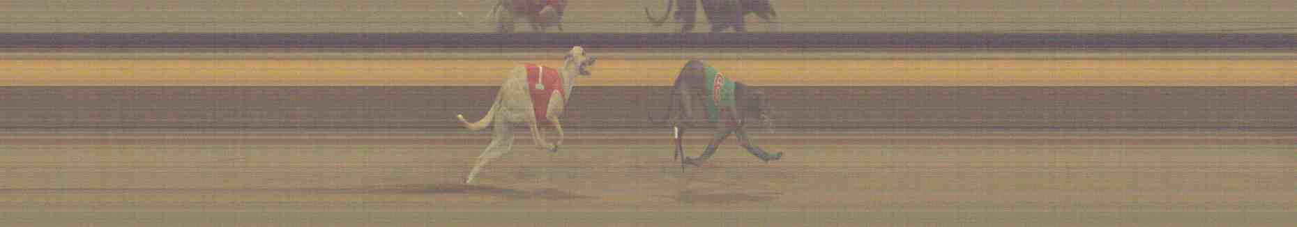 Photo finish for Horsham Race 12
