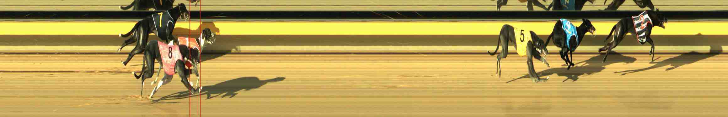 Photo finish for Horsham Race 2